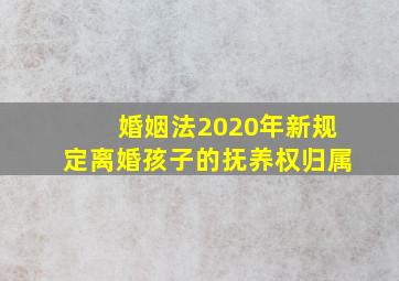 婚姻法2020年新规定离婚孩子的抚养权归属