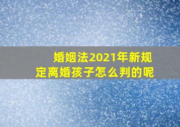 婚姻法2021年新规定离婚孩子怎么判的呢