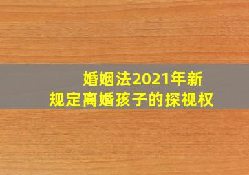 婚姻法2021年新规定离婚孩子的探视权