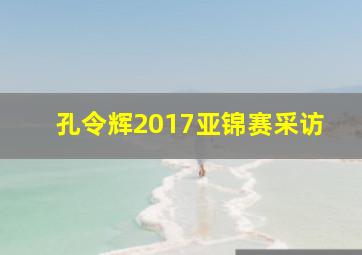 孔令辉2017亚锦赛采访