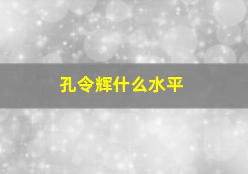 孔令辉什么水平