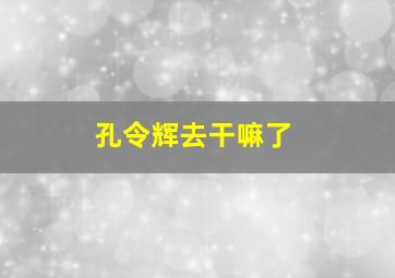 孔令辉去干嘛了