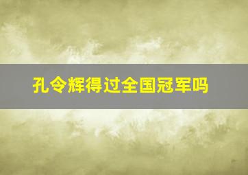 孔令辉得过全国冠军吗