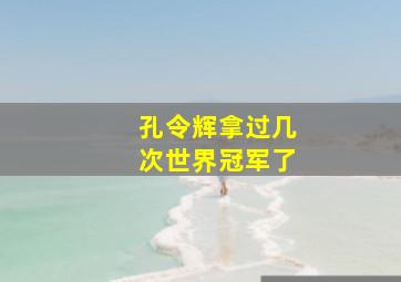 孔令辉拿过几次世界冠军了