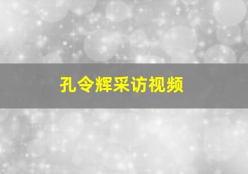 孔令辉采访视频