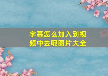 字幕怎么加入到视频中去呢图片大全