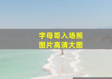 字母哥入场照图片高清大图