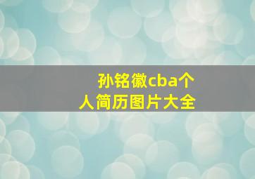 孙铭徽cba个人简历图片大全