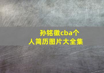 孙铭徽cba个人简历图片大全集