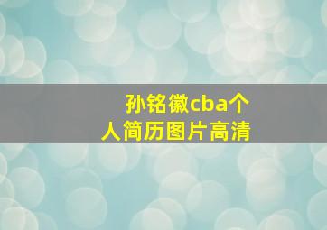 孙铭徽cba个人简历图片高清