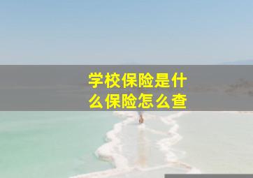 学校保险是什么保险怎么查