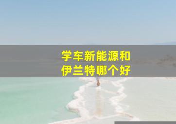 学车新能源和伊兰特哪个好