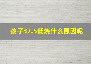 孩子37.5低烧什么原因呢