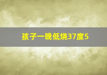 孩子一晚低烧37度5