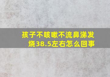 孩子不咳嗽不流鼻涕发烧38.5左右怎么回事