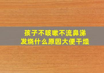 孩子不咳嗽不流鼻涕发烧什么原因大便干燥