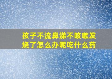 孩子不流鼻涕不咳嗽发烧了怎么办呢吃什么药