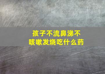 孩子不流鼻涕不咳嗽发烧吃什么药