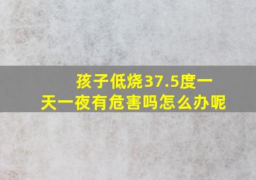 孩子低烧37.5度一天一夜有危害吗怎么办呢