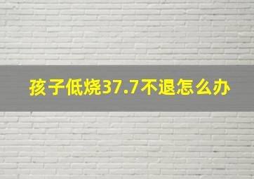 孩子低烧37.7不退怎么办