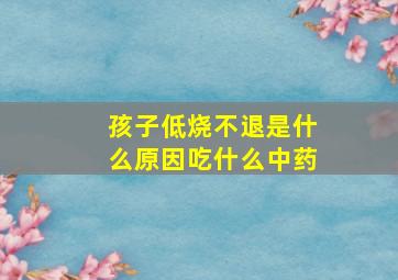 孩子低烧不退是什么原因吃什么中药