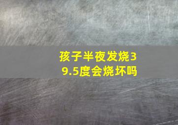 孩子半夜发烧39.5度会烧坏吗