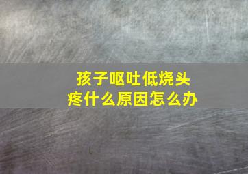 孩子呕吐低烧头疼什么原因怎么办