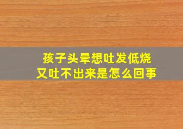 孩子头晕想吐发低烧又吐不出来是怎么回事