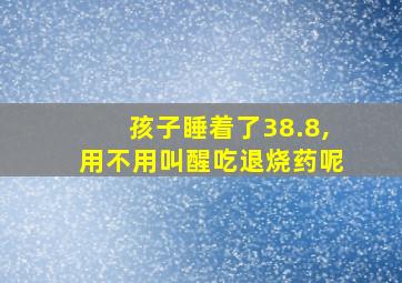 孩子睡着了38.8,用不用叫醒吃退烧药呢