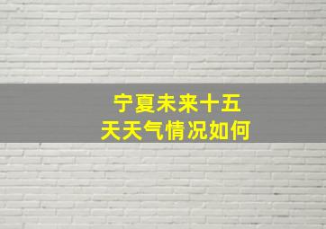 宁夏未来十五天天气情况如何