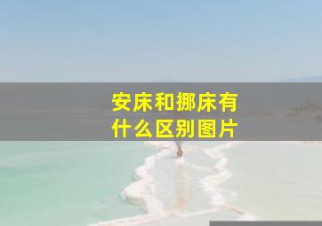 安床和挪床有什么区别图片