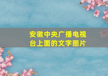 安徽中央广播电视台上面的文字图片