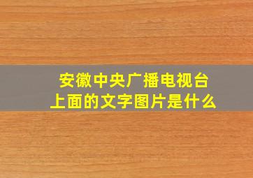 安徽中央广播电视台上面的文字图片是什么