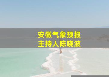 安徽气象预报主持人陈晓波