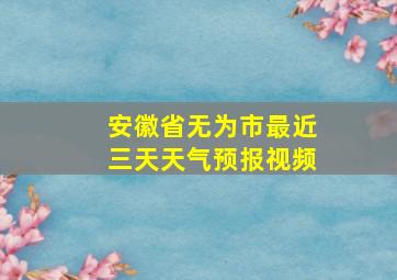 安徽省无为市最近三天天气预报视频