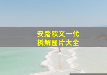 安踏欧文一代拆解图片大全