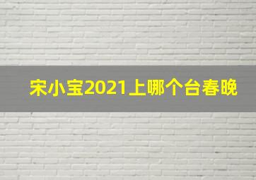 宋小宝2021上哪个台春晚