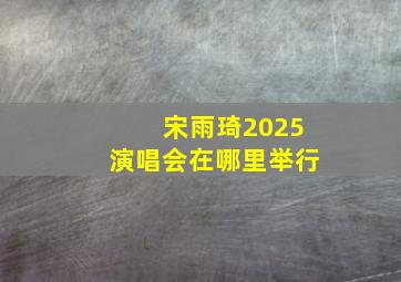 宋雨琦2025演唱会在哪里举行