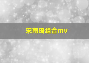 宋雨琦组合mv