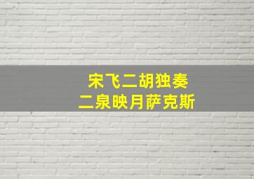 宋飞二胡独奏二泉映月萨克斯