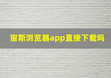 宙斯浏览器app直接下载吗