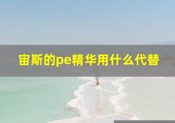 宙斯的pe精华用什么代替