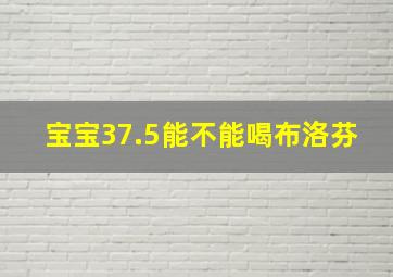 宝宝37.5能不能喝布洛芬