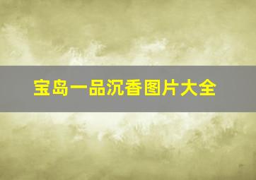 宝岛一品沉香图片大全