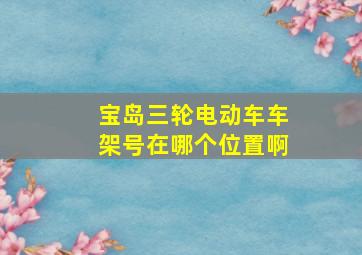 宝岛三轮电动车车架号在哪个位置啊