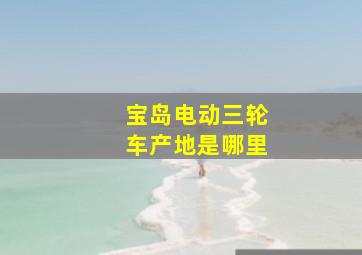 宝岛电动三轮车产地是哪里