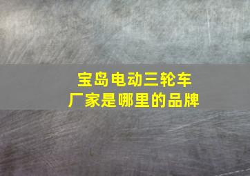 宝岛电动三轮车厂家是哪里的品牌