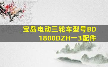 宝岛电动三轮车型号BD1800DZH一3配件