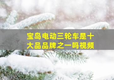 宝岛电动三轮车是十大品品牌之一吗视频