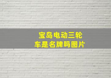 宝岛电动三轮车是名牌吗图片